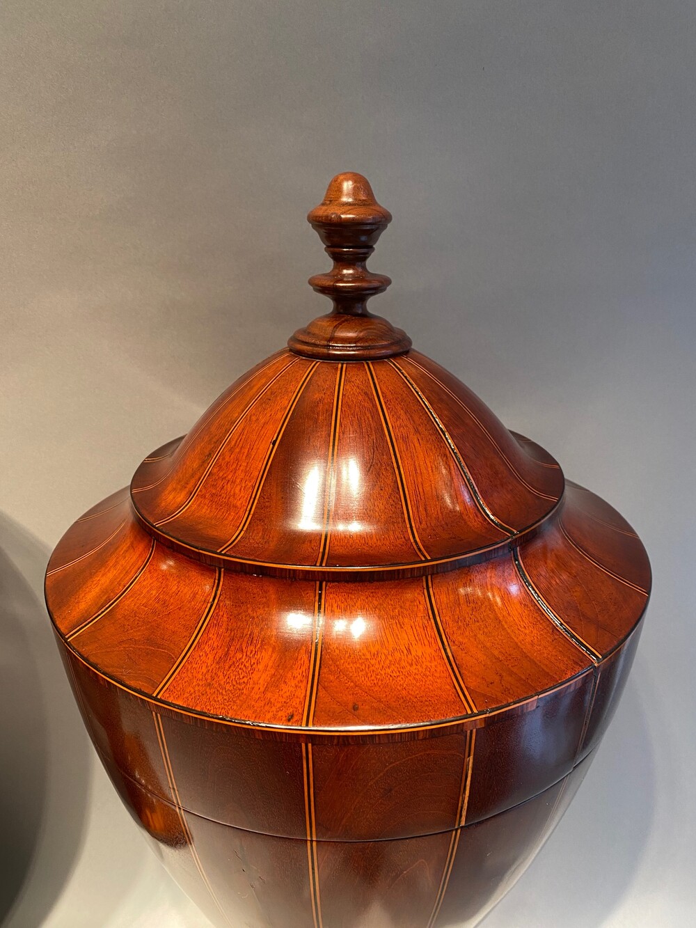 A large matched pair of English mahogany urns 