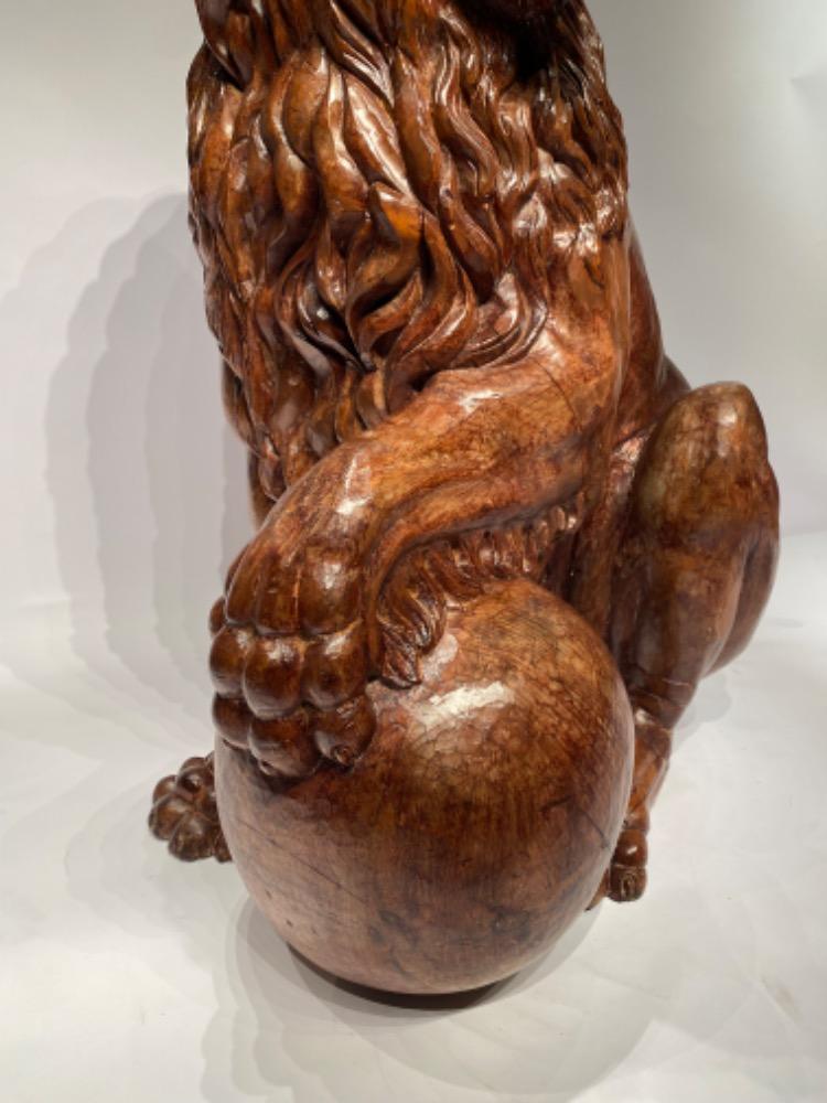 A life size carved lime wood Medici lion. 