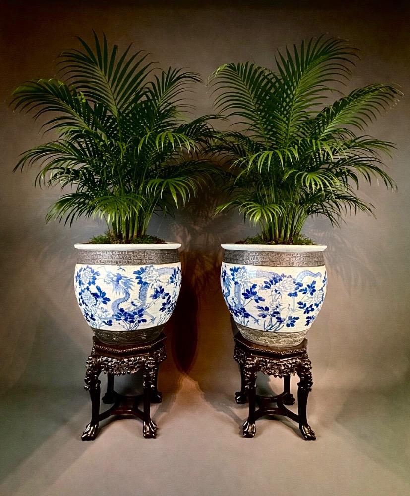 Important Pair of Nankin Planters with Carved Hardwood Stands - China, circa 1880-1900, Late 19th Century