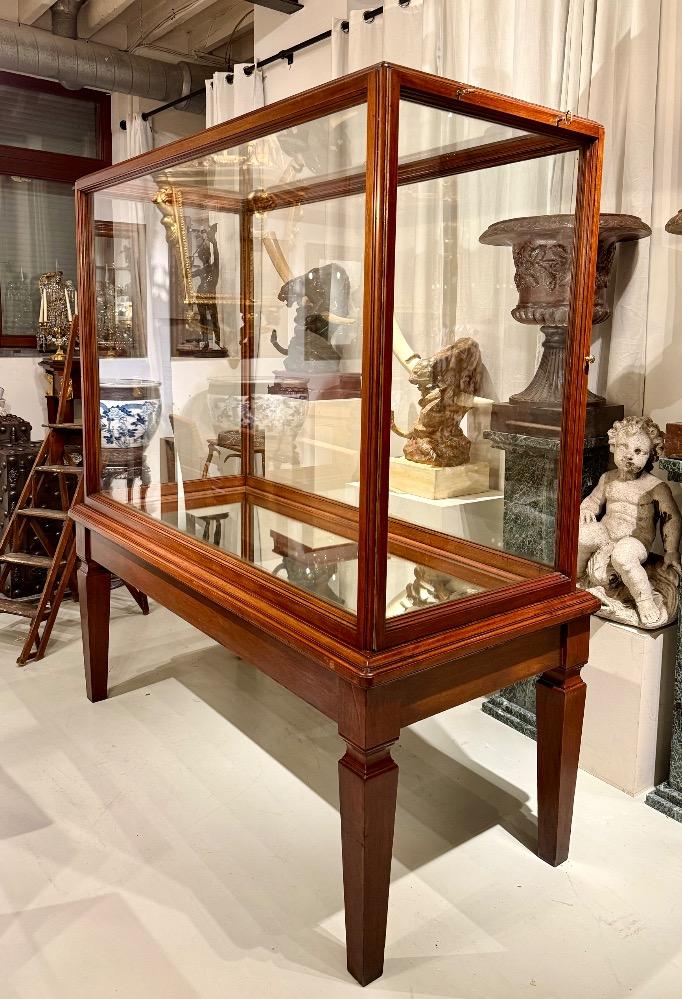 Large mahogany museum vitrine 