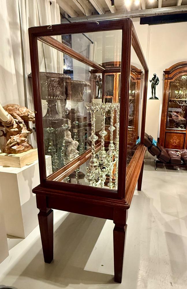 Large mahogany museum vitrine 