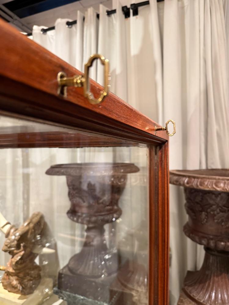 Large mahogany museum vitrine 