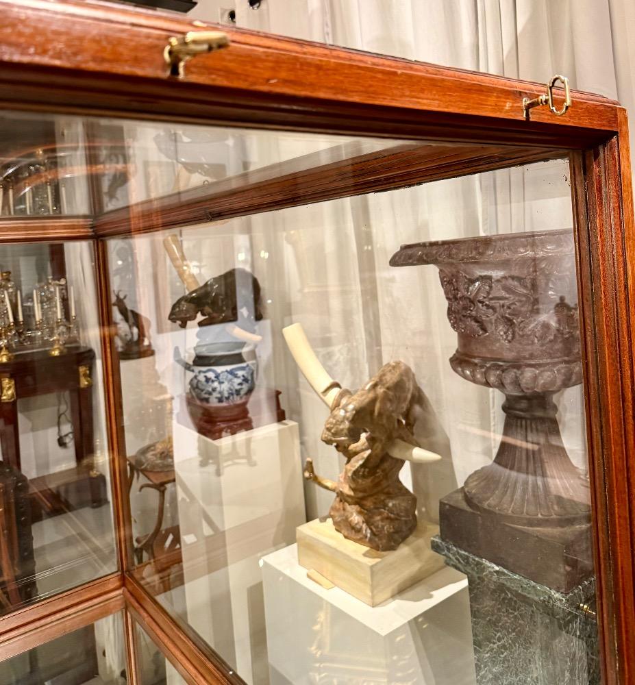 Large mahogany museum vitrine 