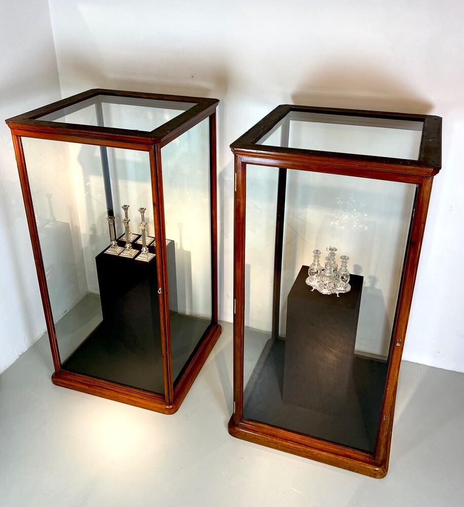 Pair large 19th century mahogany museum cabinets by Holland & Sons, London c. 1890.