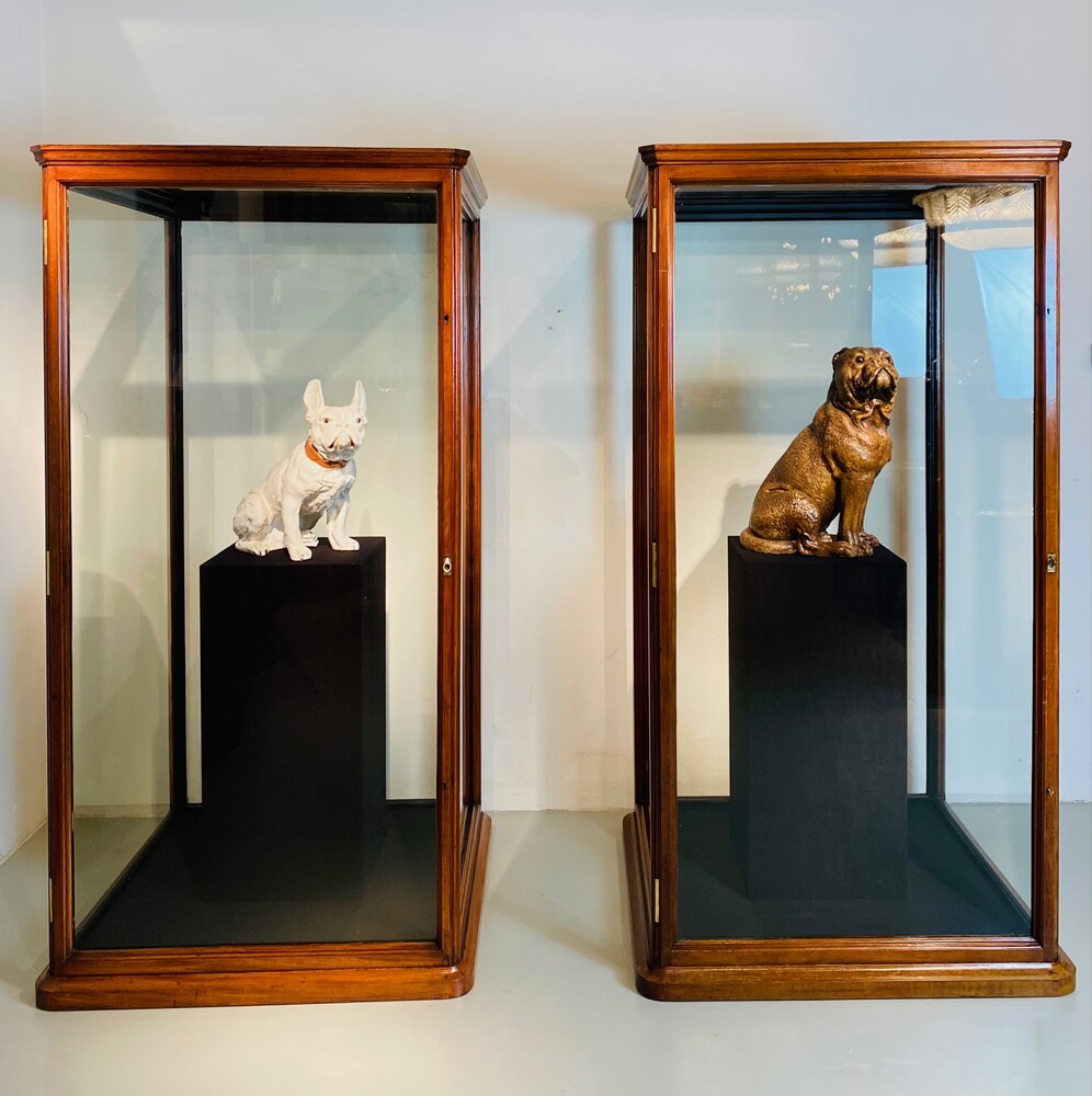 Pair large 19th century mahogany museum cabinets by Holland & Sons, London c. 1890.