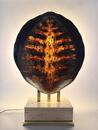 Vintage Turtle Shell Table Lamp