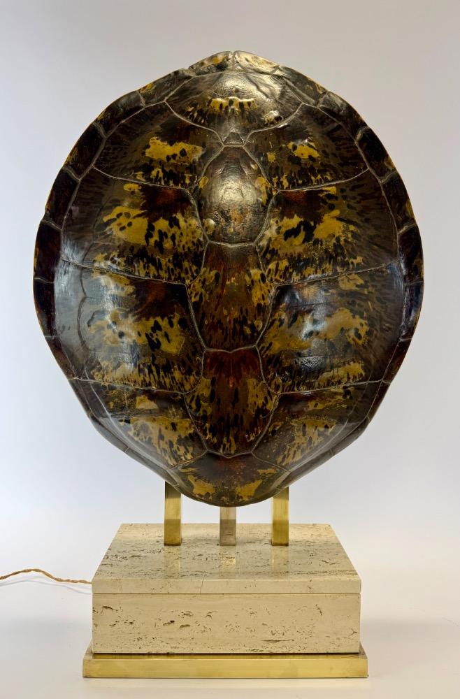 Vintage Turtle Shell Table Lamp