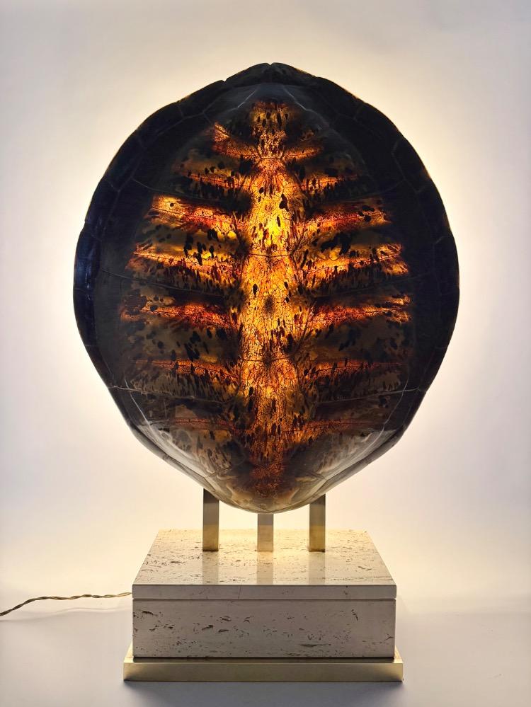 Vintage Turtle Shell Table Lamp